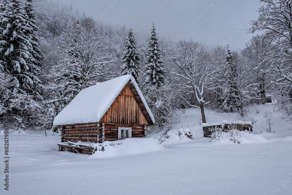 Abandoned log cabin hut in winter snowy misty forest