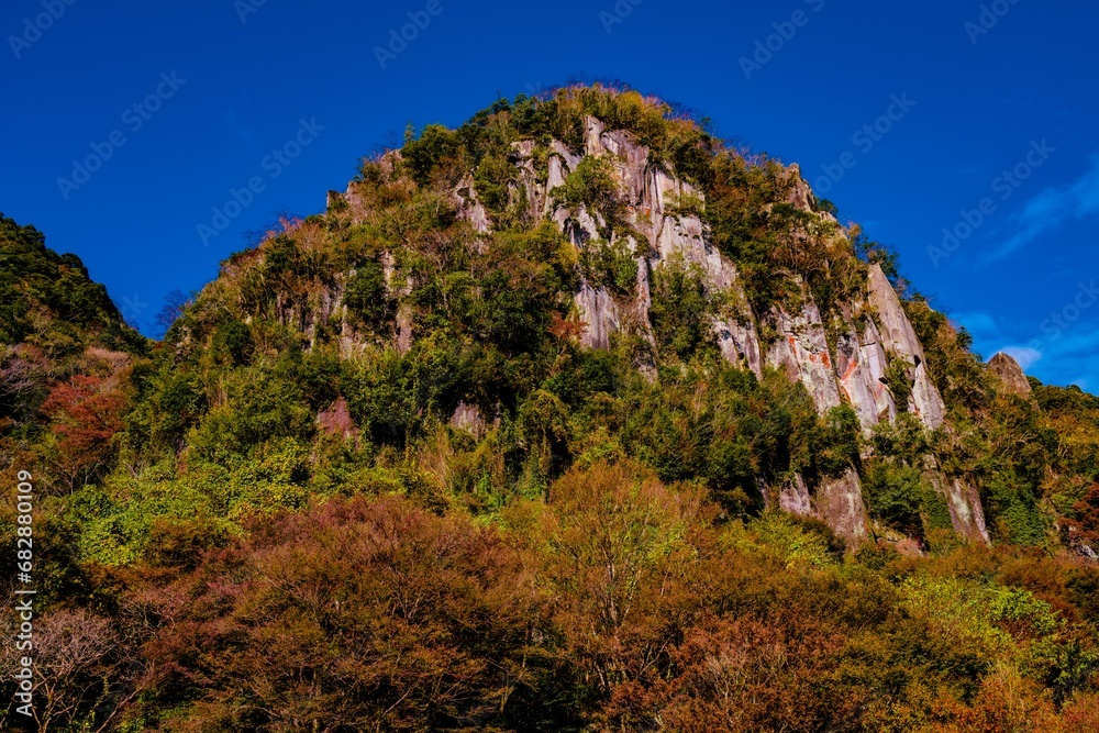 一目八景