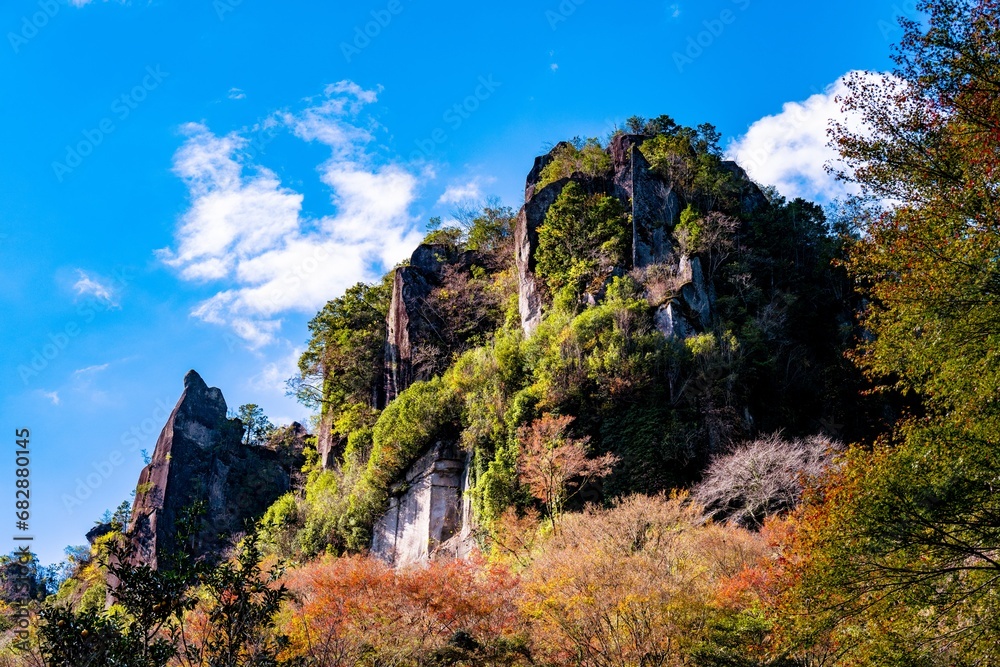 一目八景