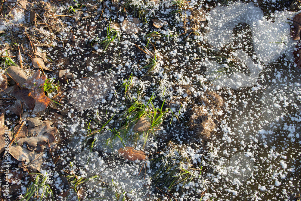 The change of the season, the first snow on the frozen ground. Green grass in ice. The change of the season, the first snow on the frozen ground. Green grass in ice.