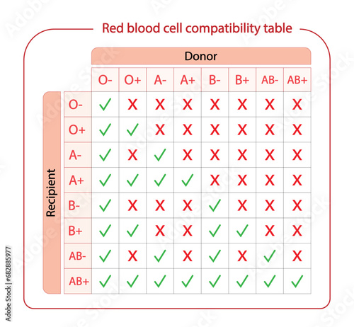 Abo Blood Compatibility Chart. Blood donation, ABO Blood groups droplets., four blood types, A,B, AB and O groups, made up from combinations of the type A and type B antigens. Vector Illustration.