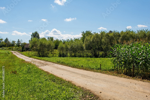 The rural summer landscape near Grabovac Banski village close to Petrinja in Sisak-Moslavina County, Central Croatia. Early September photo