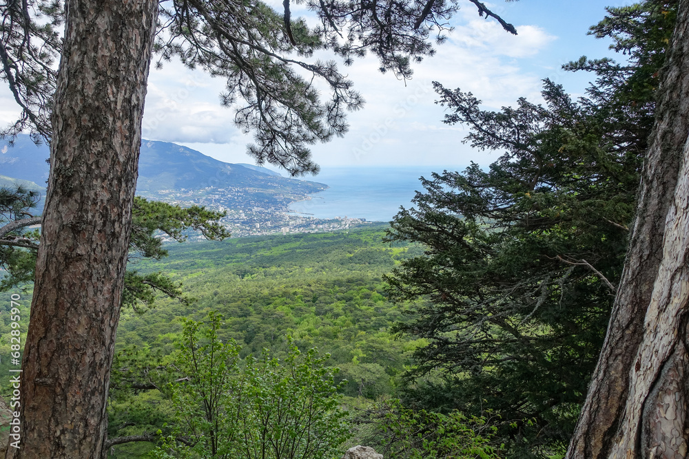 Picturesque view of the city of Yalta and the Black Sea from Ai-Petri mountain in Crimea. Mountain landscape with trees in the clouds. Clouds over Ai-Petri Mountain. Crimean Peninsula Picturesque view of the city of Yalta and the Black Sea from Ai-Petri mountain in Crimea. Mountain landscape with trees in the clouds. Clouds over Ai-Petri Mountain. Crimean Peninsula