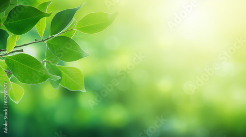 A vibrant green leaf in nature  showcasing organic freshness and sustainable growth.