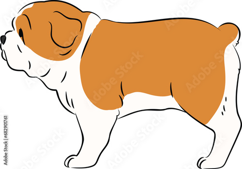 Simple and cute illustration of English Bulldog in side view with detailed lines
