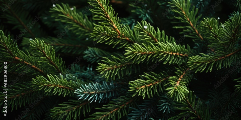 A detailed view of a pine tree with vibrant green needles. Perfect for nature enthusiasts and those seeking a touch of greenery in their designs. A detailed view of a pine tree with vibrant green needles. Perfect for nature enthusiasts and those seeking a touch of greenery in their designs.