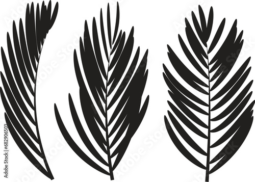 vector set of palm leaves