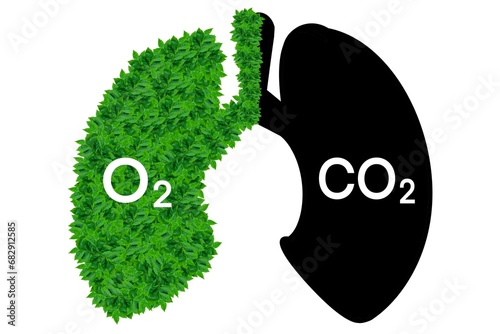 lungs, carbon dioxide and leaves and earth love concept