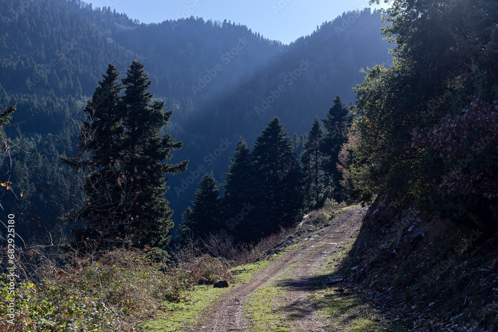 Obraz premium A picturesque path in the high mountains (Greece, Epirus) on a sunny winter day