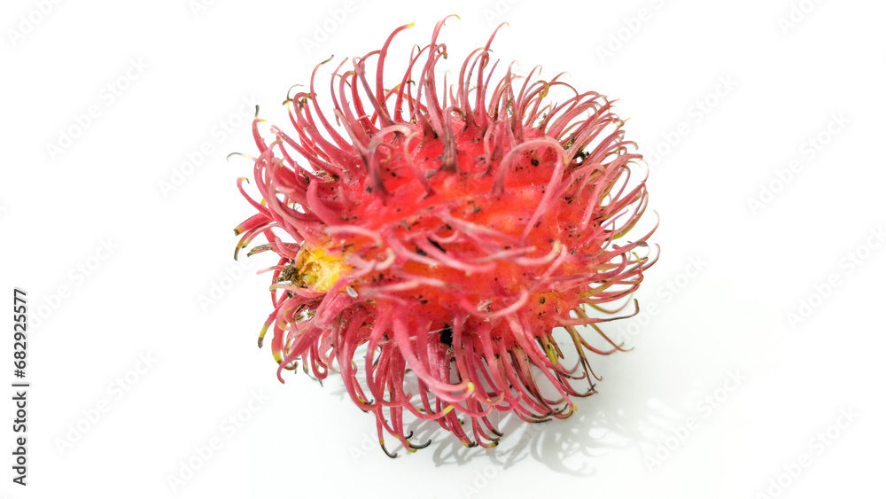 rambutan fruit isolated on a white background rambutan fruit isolated on a white background
