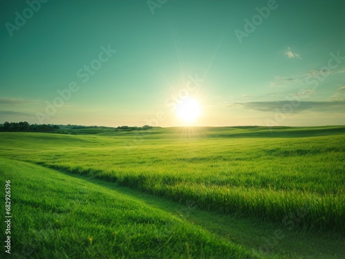 Landscape of Green Grass Field with Sunlight, Panoramic View