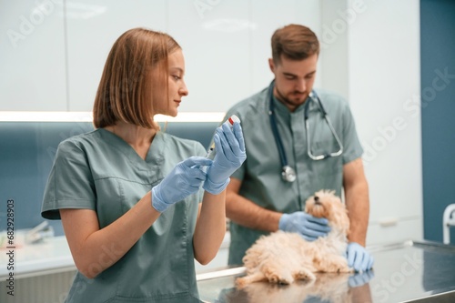 Medicine in the syringe. Cute little dog in veterinary clinic with two doctors