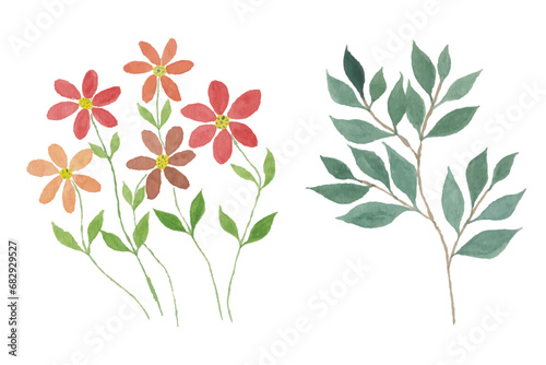 Assortment of watercolor leaves and flower illustration set - green leaf branches collection for wedding, greetings, stationary, wallpapers, fashion, background. olive, green leaves, Eucalyptus etc © KaziObaidulla