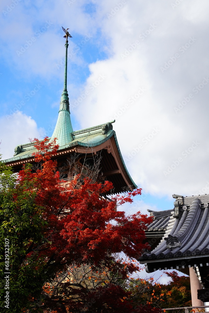 Naklejka premium 京都 八坂神社周辺の秋の紅葉