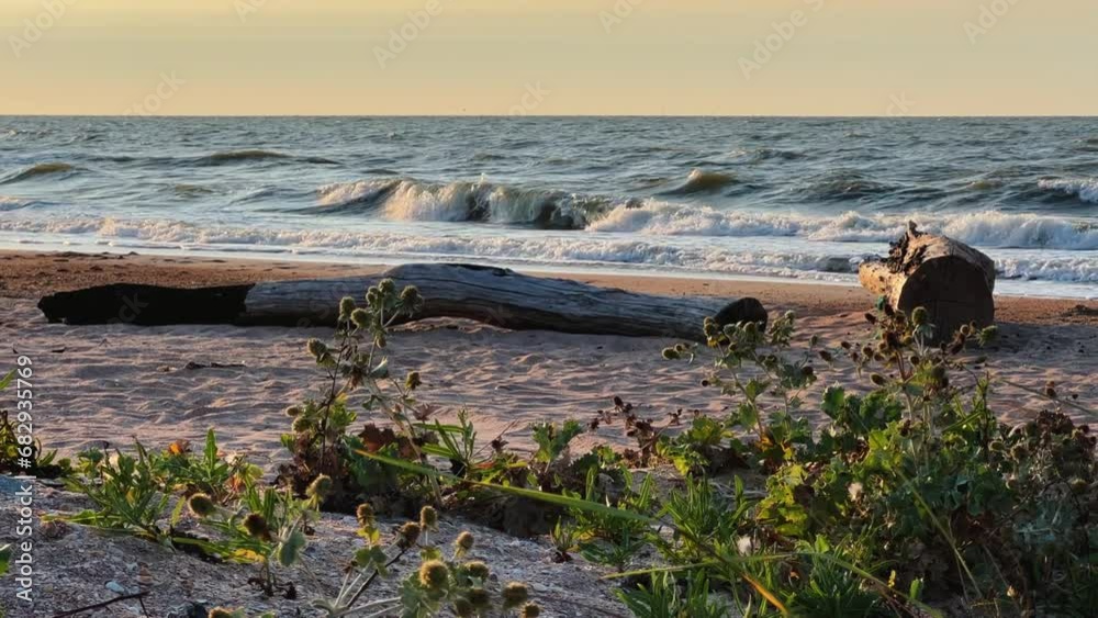 Sunset on the beach in Golubitskaya. Beautiful sunset on the background of the sea. Sunset landscape, amazing light of nature. The background of the nature environment.The Sea of Azov. Golubitskaya 4К Sunset on the beach in Golubitskaya. Beautiful sunset on the background of the sea. Sunset landscape, amazing light of nature. The background of the nature environment.The Sea of Azov. Golubitskaya 4К