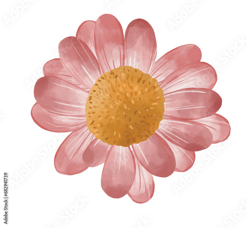 pink daisy isolated on white. vector illustration icon