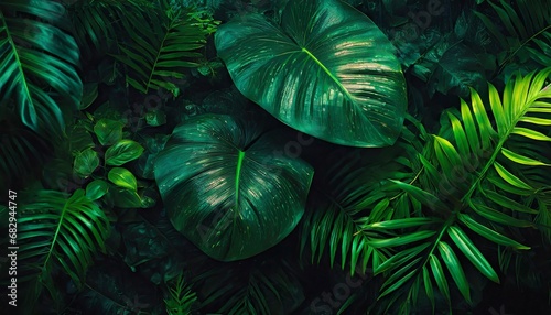Abstract green leaf texture, nature background, tropical leaves	
