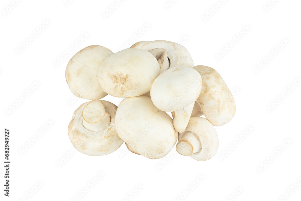 champignon mushroom, pile of champignon mushroom isolated from background champignon mushroom, pile of champignon mushroom isolated from background