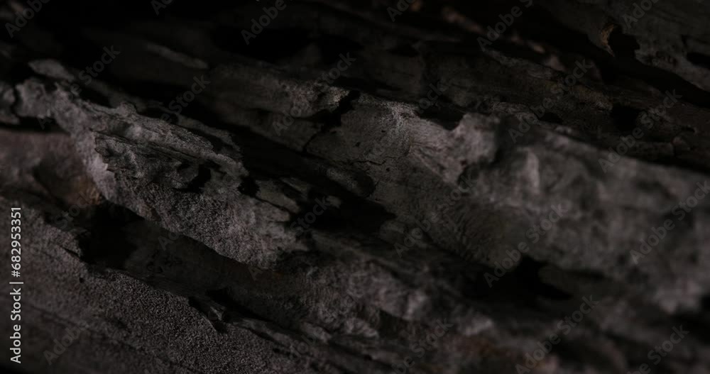 Texture of weathered old wood with scratches and cuts. Damaged aged rough timber in dark indoors. Structure of scabrous pattern of wooden aged surface with stains. log with bark beetle marks.