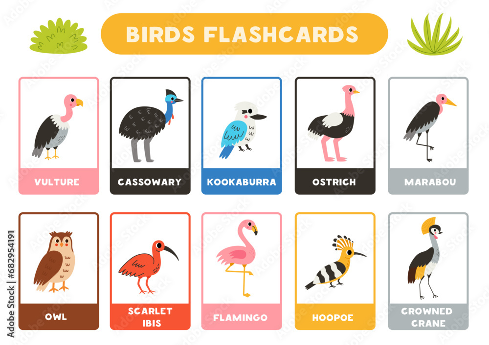 Cute birds with names. Flashcards for learning English.