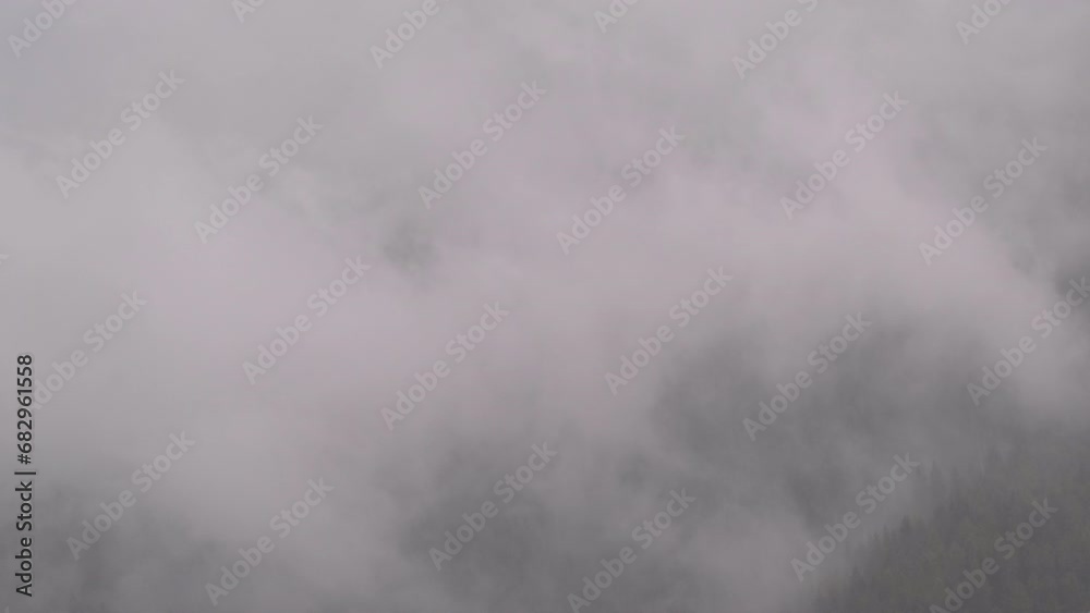 Gray clouds slowly moving in front of a mountain covered with conifers. Gray clouds slowly moving in front of a mountain covered with conifers.