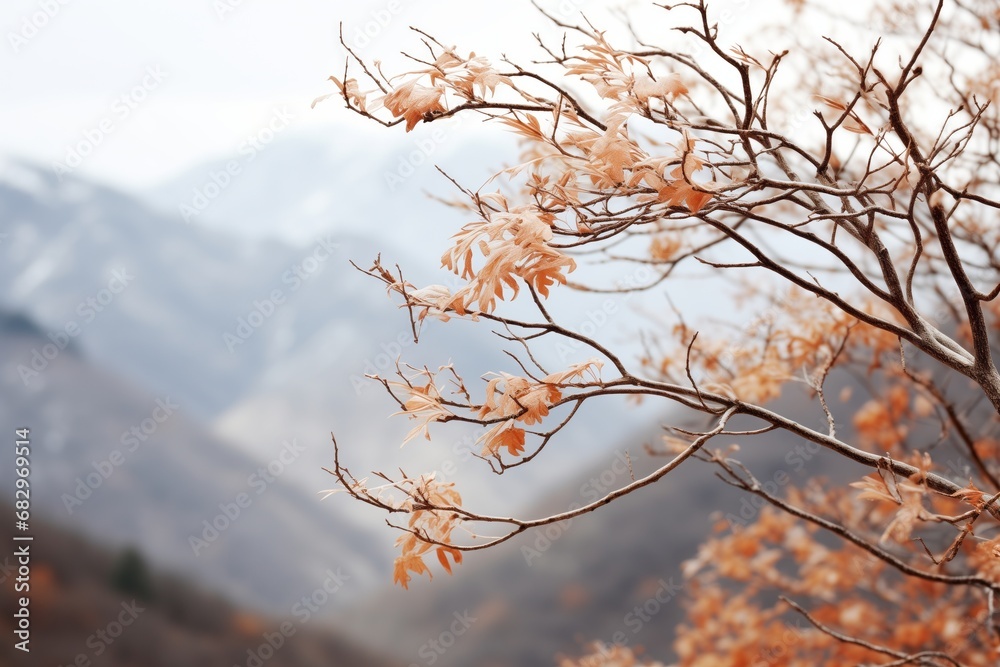 Beautiful Plant Life Swaying in the Wind, Bridging the Tranquil Dance of Fall and Winter Beautiful Plant Life Swaying in the Wind, Bridging the Tranquil Dance of Fall and Winter
