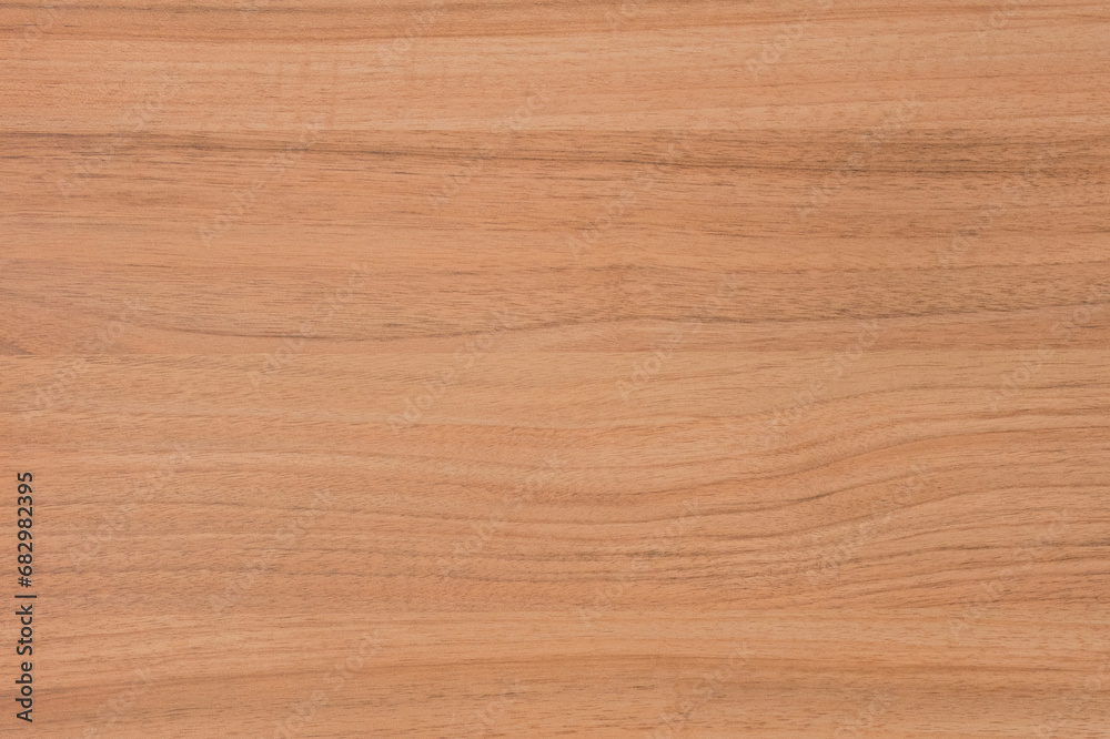 Natural Color Light Abstract Pattern Wood Table Surface Floor Door Texture Wooden Background Plank Board Natural Color Light Abstract Pattern Wood Table Surface Floor Door Texture Wooden Background Plank Board