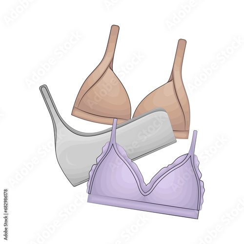 bra illustration 