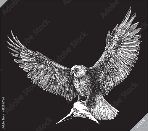 black and white engrave isolated eagle vector illustration