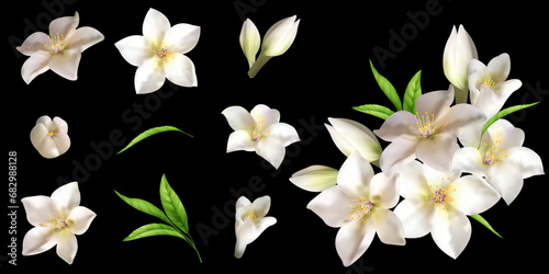 Set of branches of blooming white cherry tree. Beautiful flowers of apple or cherry tree blossoms. Collection of branches for your design. Vector illustration for eps 10.