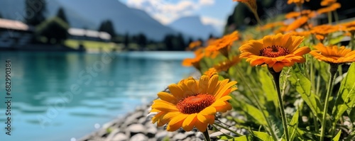 Flower by the River in Interlaken