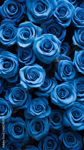 Blue roses background. Beautiful flowers for valentine s day. Colorful background.