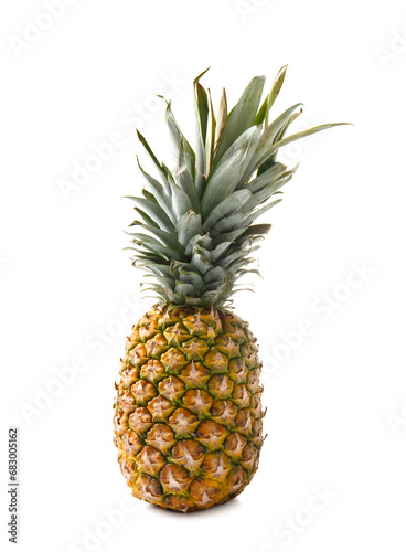 Fresh whole pineapple with green leaves on white background