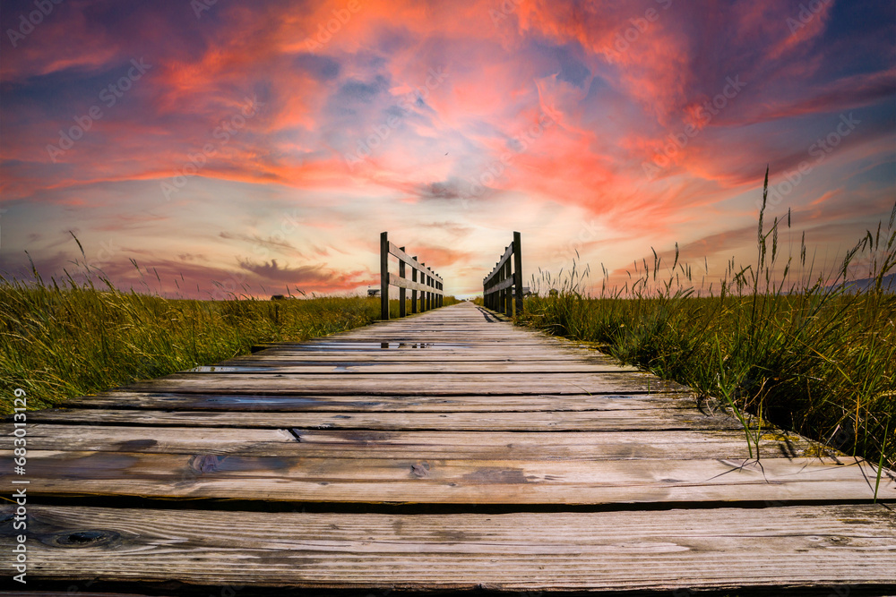 wooden bridge in the salt marshes on the north sea in the sunset - obrazy, fototapety, plakaty 