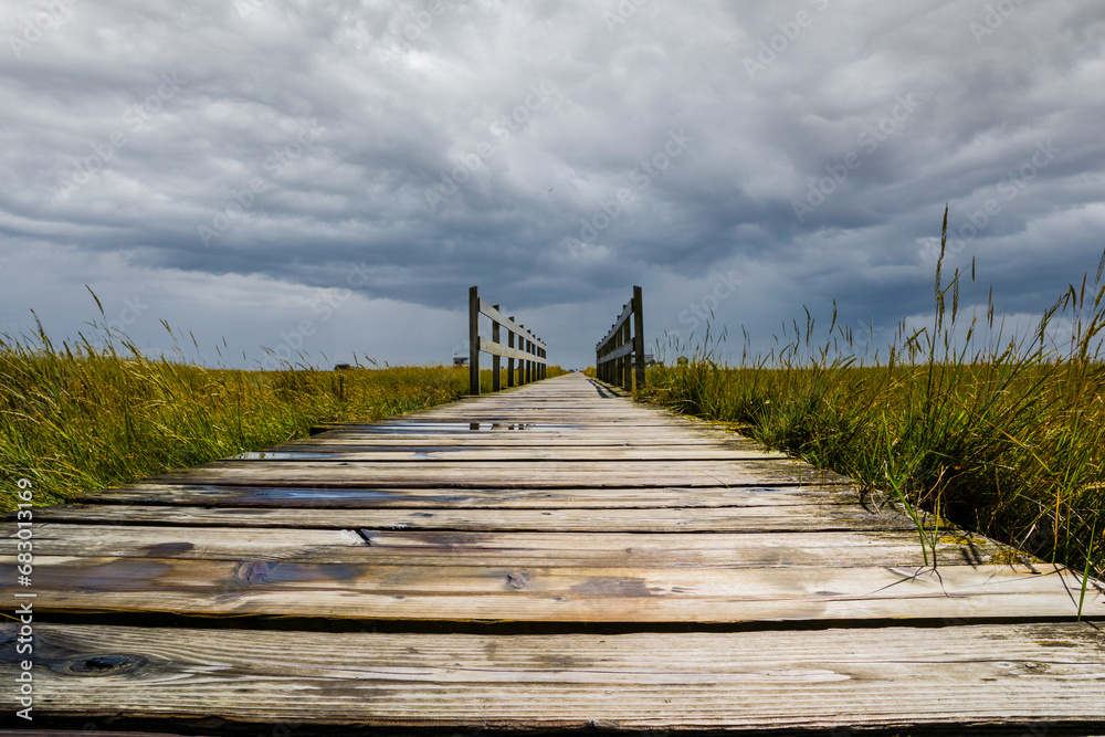 Fototapeta premium wooden bridge over the north sea in cloudy skies