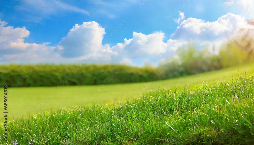 Blurred background of spring nature with a nicely trimmed lawn against a blue sky and clouds on a bright sunny day Blurred background of spring nature with a nicely trimmed lawn against a blue sky and clouds on a bright sunny day