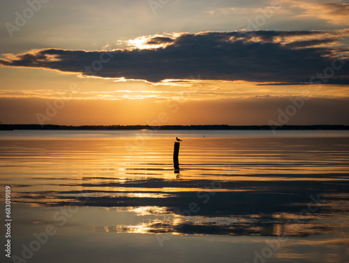 Fototapeta Naklejka Na Ścianę i Meble -  Sunset on the sea