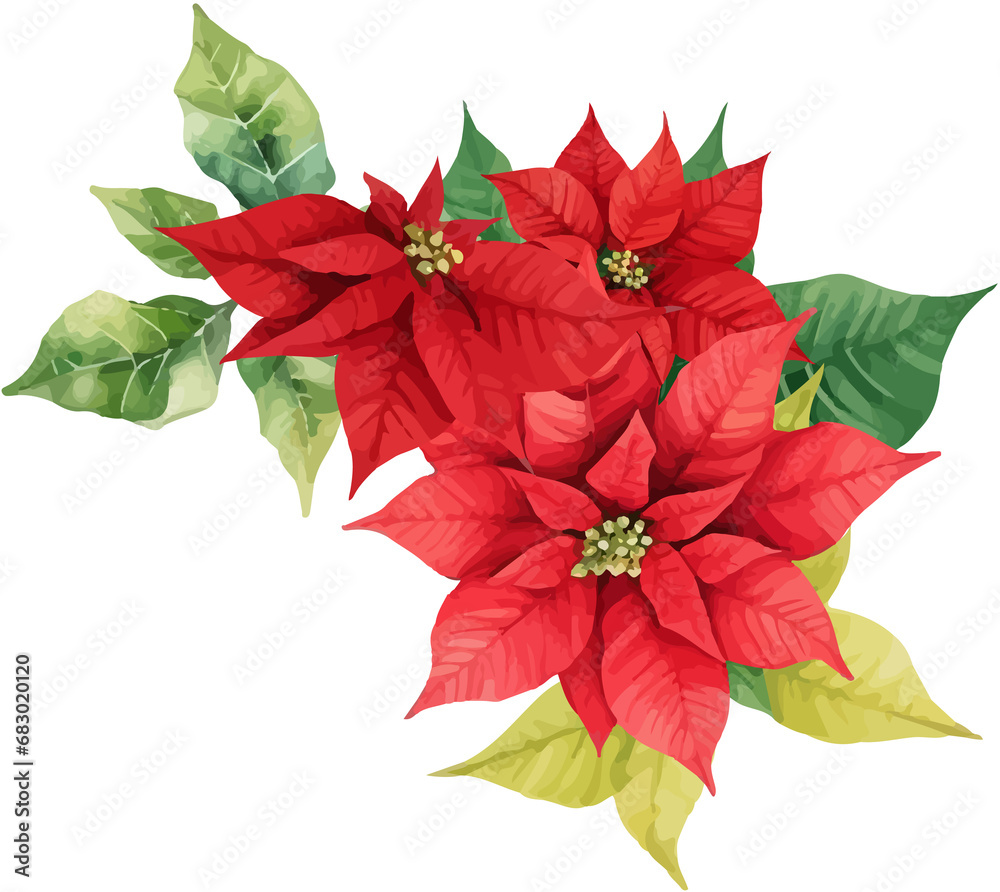 Christmas Watercolor Red Poinsettia Flowers With Leaves Bouquet
