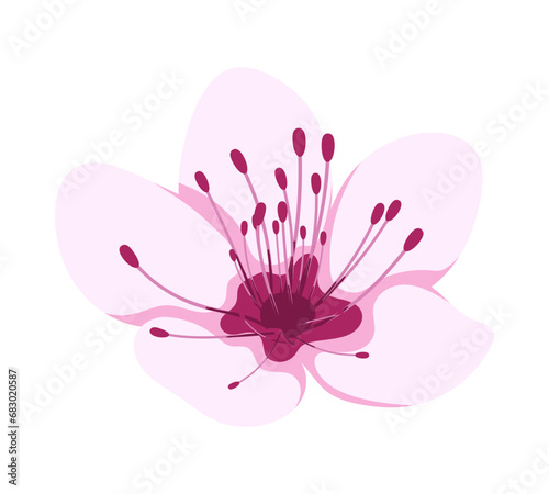 Sakura Flower Element