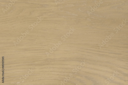 Light green wood surface floor texture background boards wooden