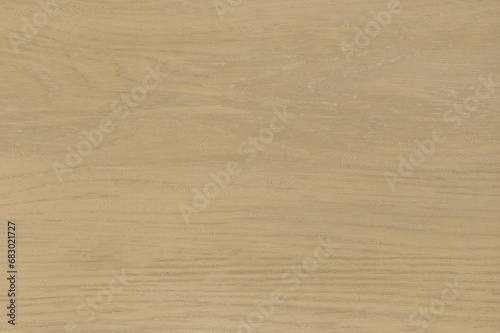 Light green wood surface floor texture background boards wooden plank