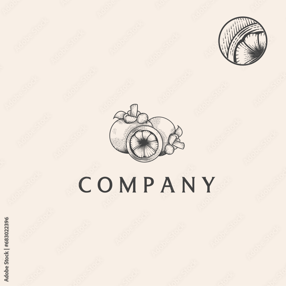 mangosteen engraving illustration mangosteen engraving illustration
