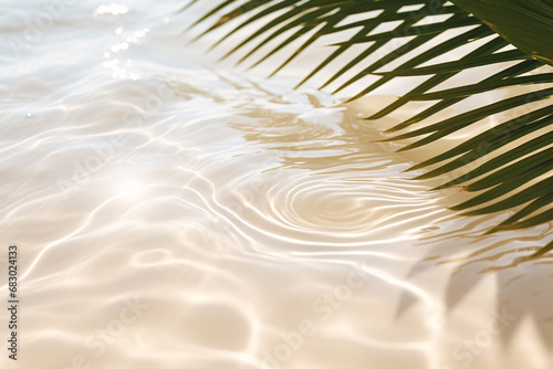 The sun s glimmering luminance is reflected off the abstract white sand of the beach  forming a beautiful  palm-shadowed backdrop perfect for a summer retreat.