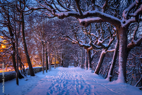 Winter scenery in snowy public park in Gdansk Oliwa, Poland