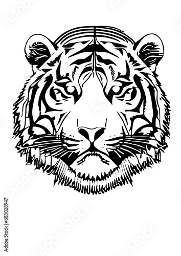 Tiger Head Ilustration