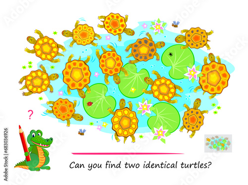 Logic puzzle for children and adults. Can you find two identical turtles? Page for kids brain teaser book. Task for attentiveness.  IQ test. Play online. Vector cartoon illustration.