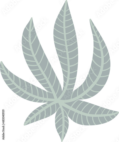 Floral element. Illustration