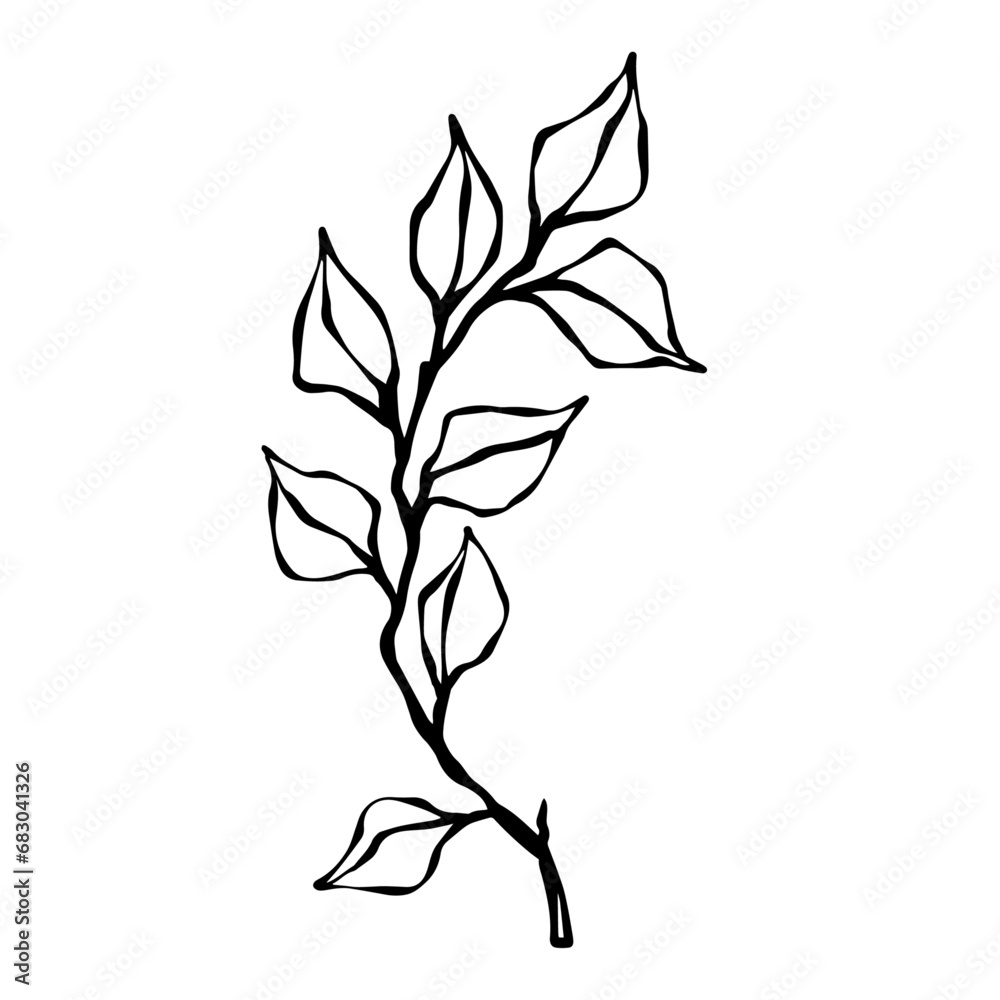 Set of sketches, doodles of botanical elements, branches with leaves. Vector graphics. Set of sketches, doodles of botanical elements, branches with leaves. Vector graphics.