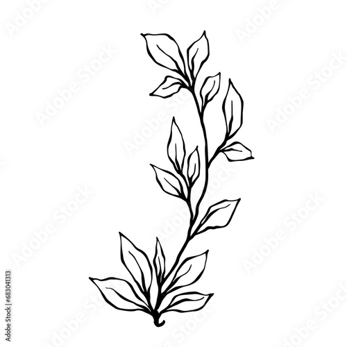 Set of sketches, doodles of botanical elements, branches with leaves. Vector graphics.