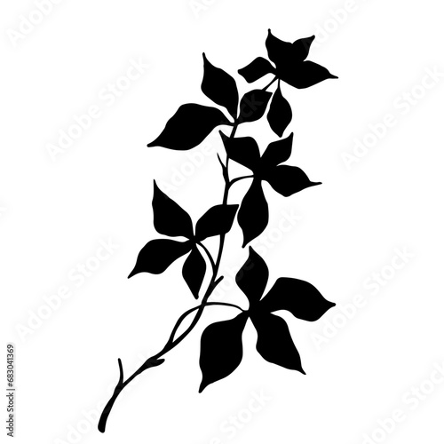 Set of silhouettes of botanical elements, branches with leaves. Vector graphics.